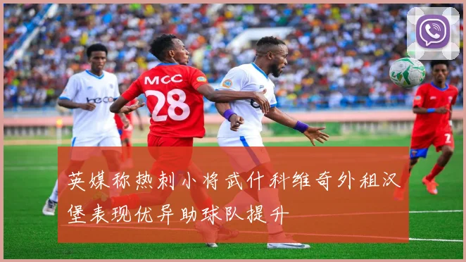 英媒称热刺小将武什科维奇外租汉堡表现优异助球队提升