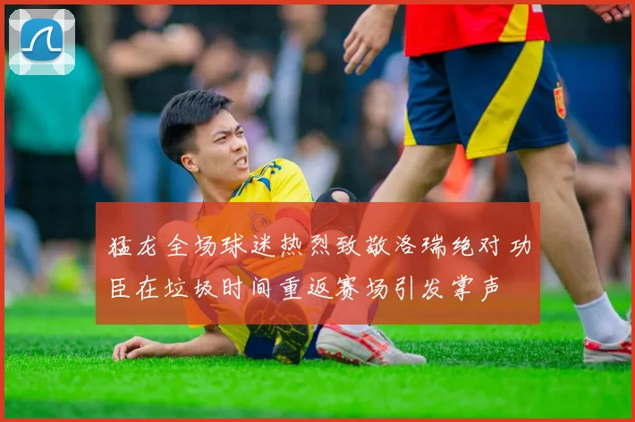 猛龙全场球迷热烈致敬洛瑞绝对功臣在垃圾时间重返赛场引发掌声